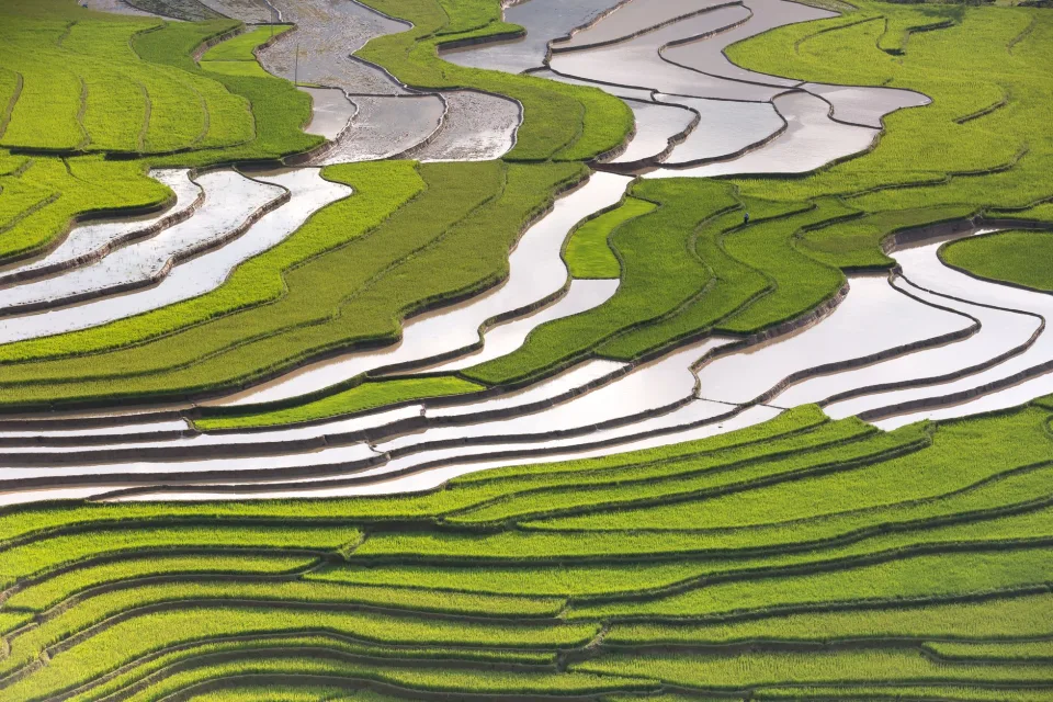 Kho gạo của Võ Thị Huệ